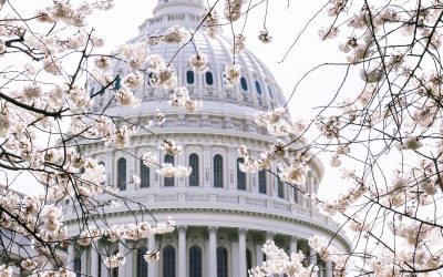 Wisconsin’s Ron Johnson leads Senate Republican opposition to Trump’s signature budget bill
