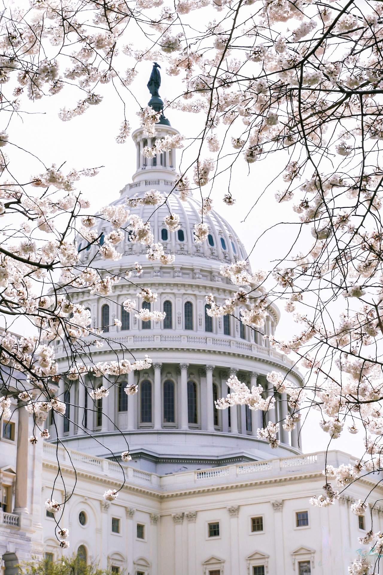 U.S. Capital building
